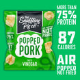 Popped Pork - Salt & Vinegar (single packet)